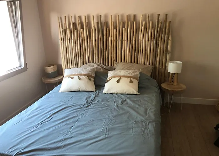 Maison 6 A 8 Pers Au Bord Du De * Biscarrosse