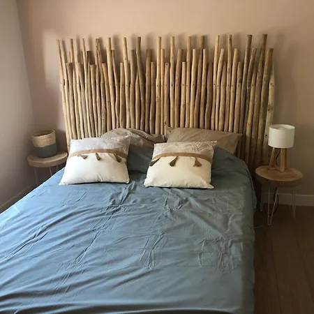 Maison 6 A 8 Pers Au Bord Du De * Biscarrosse